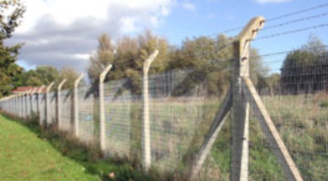 Crank Top Chain Link Posts image