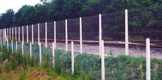 Chain Link Posts image