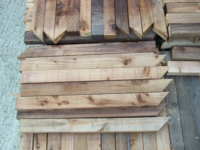 Stumps image