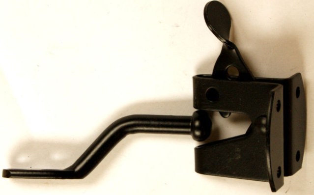Auto Catch image