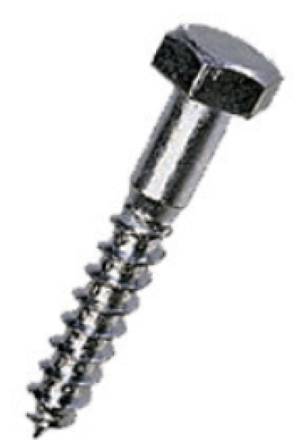Coach Screw image